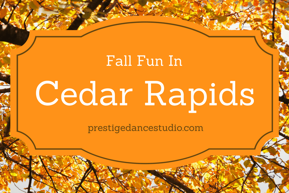 Great ideas for fall fun for families in the Cedar Rapids area! 